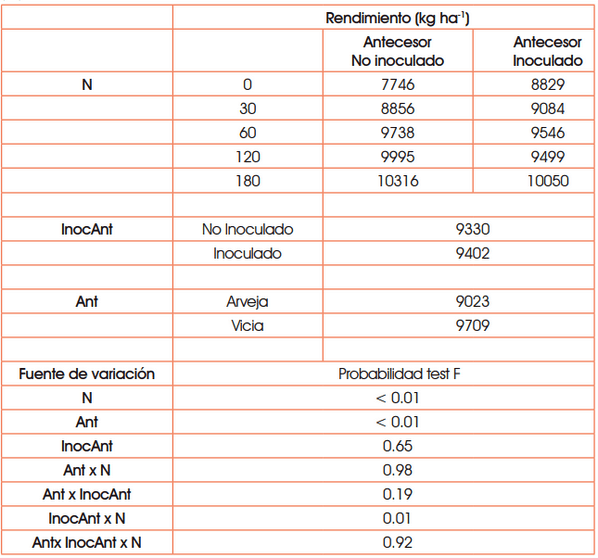 Efecto residual en maíz de la inoculación en arveja y vicia - Image 2