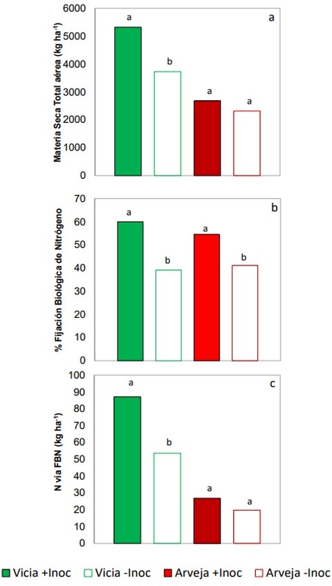 Efecto residual en maíz de la inoculación en arveja y vicia - Image 1