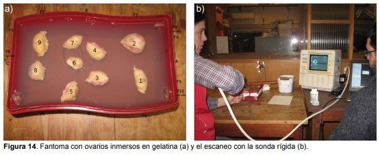 Programa recuento folicular automático. Detección de folículos en videos de ultrasonido de ovarios bovinos. - Image 1