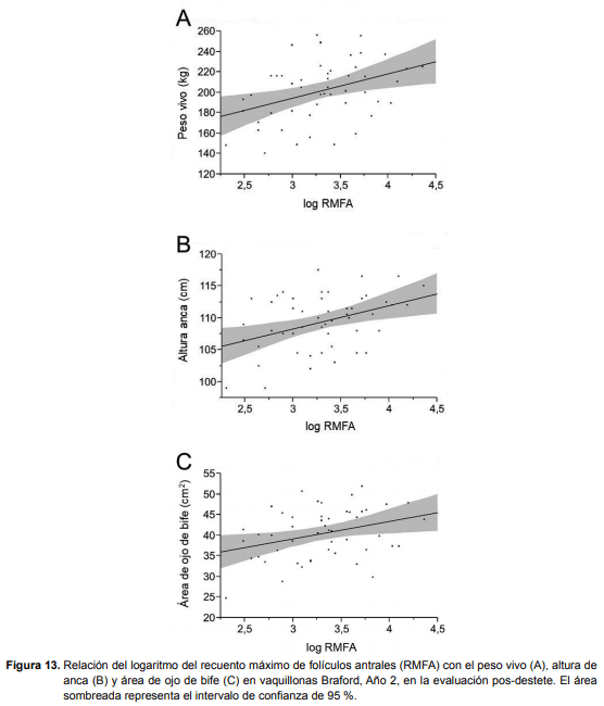Reserva folicular y pubertad. El recuento de folículos antrales es una herramienta que permitiría seleccionar terneras más precoces al destete. - Image 9