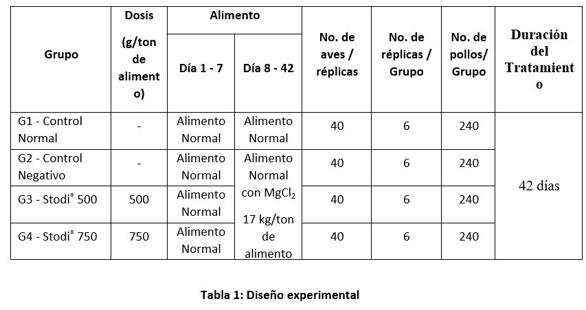 Inmunidad intestinal en aves - Una relación dominante - Image 1