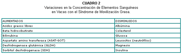 Síndrome de movilización grasa en vacas lecheras - Image 2