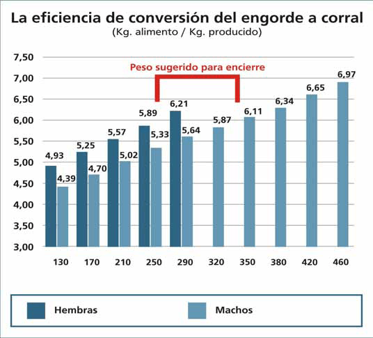 Ciclo Completo Eficiente - Image 7