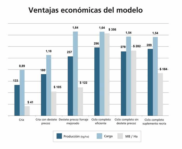 Ciclo Completo Eficiente - Image 1