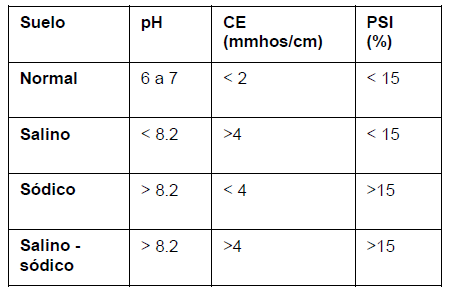 Ciclo Completo Eficiente - Image 3