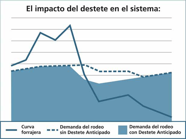 Ciclo Completo Eficiente - Image 5