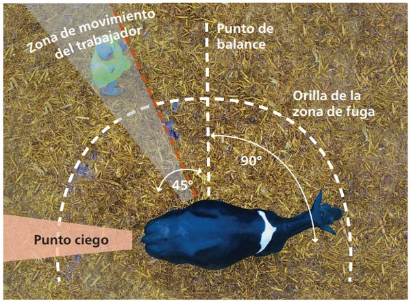 5 Reglas Simples para Mover Ganado - Image 1