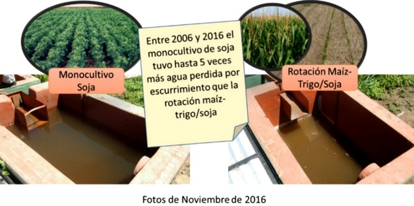 Los nutrientes en el ambiente - Image 8