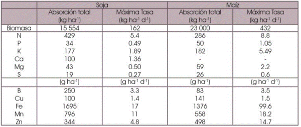 Fertilización foliar: ¿Por qué? ¿Para qué? - Image 2