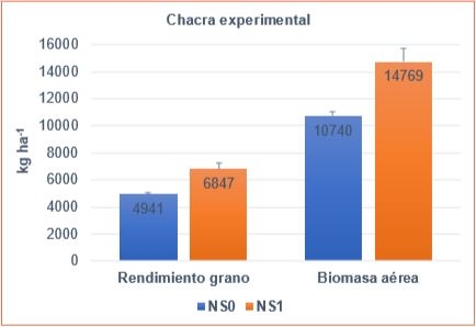 Fertilización NS en trigo pan: Incidencia en las respuestas del peso y la calidad del grano a las condiciones de llenado - Image 1