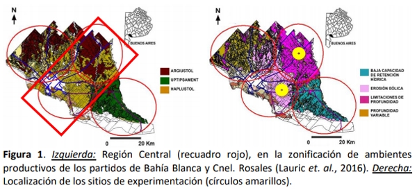 Fertilización nitrogenada creciente en agropiro alargado (Thinopyrum ponticum) en dos sitios dentro del sudoeste bonaerense semiárido - Image 1