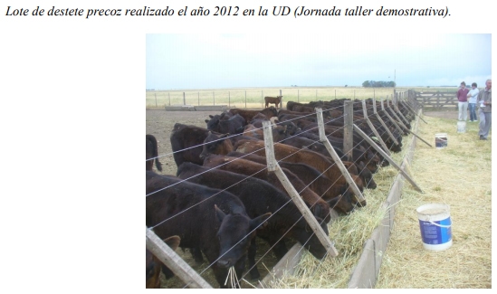 Unidades Demostrativas como herramienta estratégica de extensión - Image 18