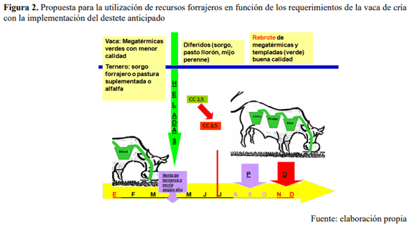 Unidades Demostrativas como herramienta estratégica de extensión - Image 19