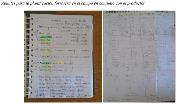Unidades Demostrativas como herramienta estratégica de extensión - Image 14