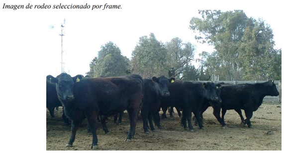 Unidades Demostrativas como herramienta estratégica de extensión - Image 25