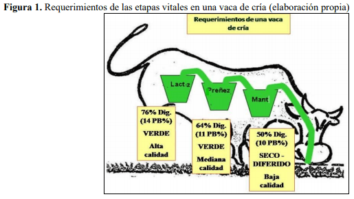 Unidades Demostrativas como herramienta estratégica de extensión - Image 16