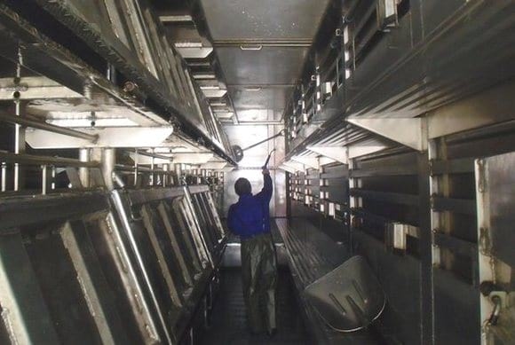Beneficios de la mejora del transporte de ganado porcino sobre la sanidad y seguridad alimentaria - Image 5