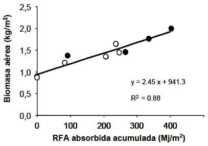 Las enfermedades foliares en el cultivo de trigo: Una perspectiva ecofisiológica - Image 6