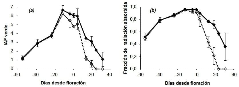 Las enfermedades foliares en el cultivo de trigo: Una perspectiva ecofisiológica - Image 4