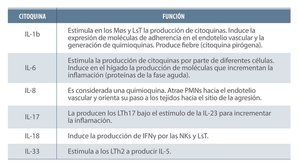 ¿Inflamarse o no inflamarse? Esa es la cuestión. Una actualización sobre las bases inmunológicas de la inflamación y su impacto en la salud animal - Image 3