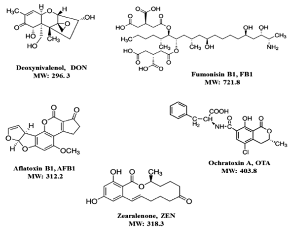 Reducción de los efectos tóxicos de los alimentos, mediante la utilización de los Adsorbentes de Micotoxinas - Revisión - Image 1