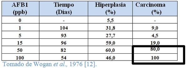 Reducción de los efectos tóxicos de los alimentos, mediante la utilización de los Adsorbentes de Micotoxinas - Revisión - Image 3