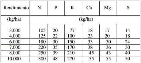 Fertilización en Sorgo - Image 1