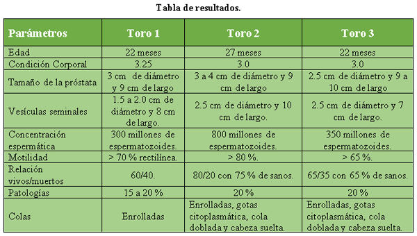 Selección de sementales por análisis andrólogico - Image 14