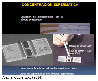 Selección de sementales por análisis andrólogico - Image 6