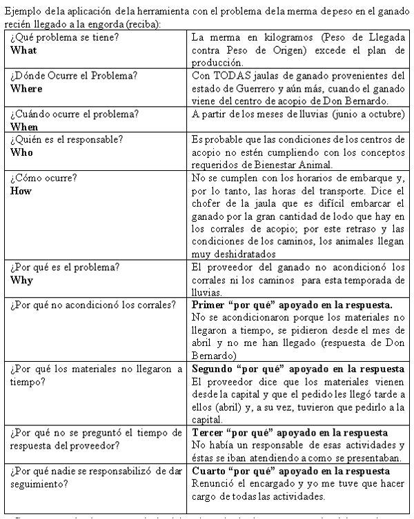 Aplicación del método de las 5”W” y 1 “H” en los corrales de engorda de ganado - Image 3