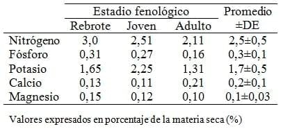 Composición bromatológica de Pteridium aquilinum subs. Arachnoideum colectado en el Municipio de Bolívar, estado de Yaracuy - Image 2