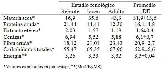 Composición bromatológica de Pteridium aquilinum subs. Arachnoideum colectado en el Municipio de Bolívar, estado de Yaracuy - Image 1