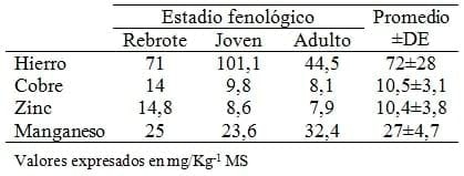 Composición bromatológica de Pteridium aquilinum subs. Arachnoideum colectado en el Municipio de Bolívar, estado de Yaracuy - Image 3