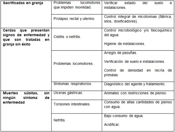 Manejo reproductivo en granjas de ganado porcino: Indicadores a nivel de campo - Image 13