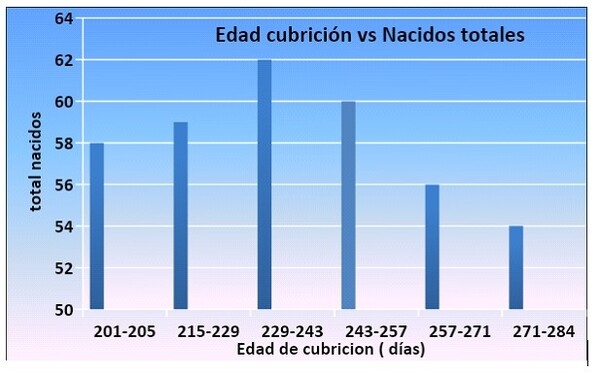 Manejo reproductivo en granjas de ganado porcino: Indicadores a nivel de campo - Image 3