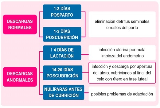 Manejo reproductivo en granjas de ganado porcino: Indicadores a nivel de campo - Image 12