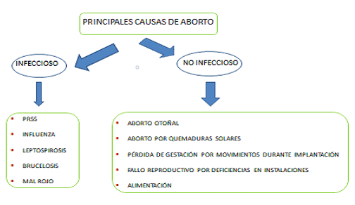 Manejo reproductivo en granjas de ganado porcino: Indicadores a nivel de campo - Image 11