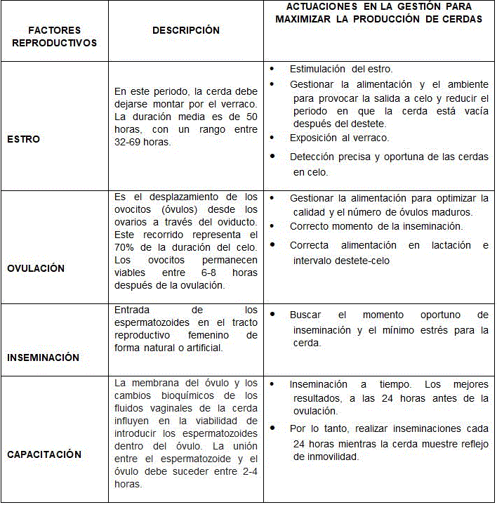 Manejo reproductivo en granjas de ganado porcino: Indicadores a nivel de campo - Image 8