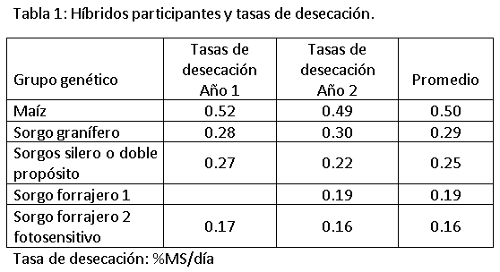 El uso de maíz y sorgos para silajes: nuevos criterios para la elección de híbridos. - Image 1