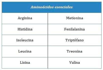 Efectos benéficos de suplementos alimenticios utilizados en la dieta regular de los perros - Image 1