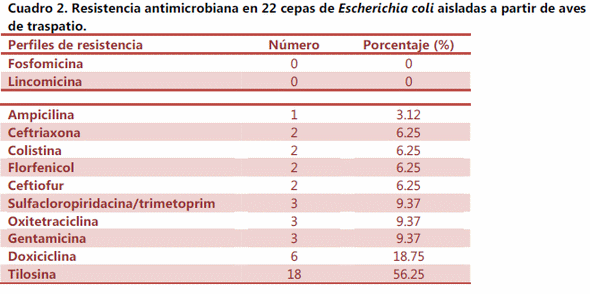 Resistencia antimicrobiana en cepas de escherichia coli aislada de aves de Importación, traspatio y comerciales - Image 2