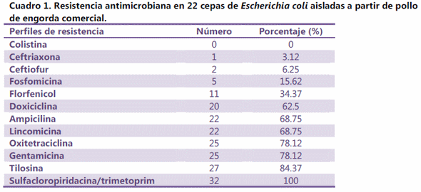 Resistencia antimicrobiana en cepas de escherichia coli aislada de aves de Importación, traspatio y comerciales - Image 3