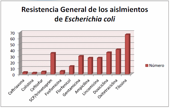 Resistencia antimicrobiana en cepas de escherichia coli aislada de aves de Importación, traspatio y comerciales - Image 4