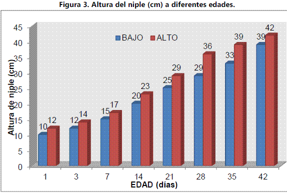 Efecto de altura del bebedero tipo niple sobre los parámetros Productivos en pollos de engorda - Image 3