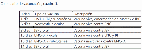 Evaluación de la efectividad del ácido glicirricínico sobre la productividad y la inmunomodulación en pollo de engorda de una granja avícola comercial. - Image 1
