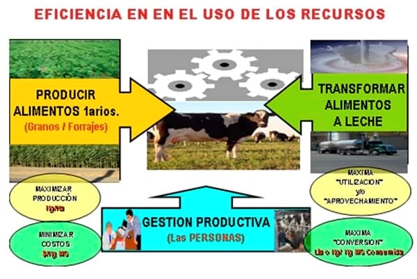 Modelos Lecheros: Sistemas reales y tendencias en la producción y utilización de forraje - Image 2