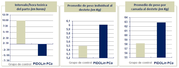 Hipocalcemia subclínica en cerdas: Utilización de pidolato de calcio - Image 4