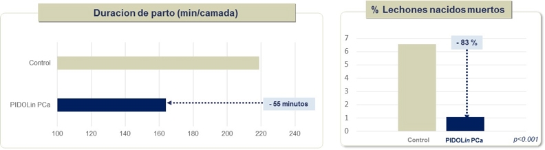 Hipocalcemia subclínica en cerdas: Utilización de pidolato de calcio - Image 8