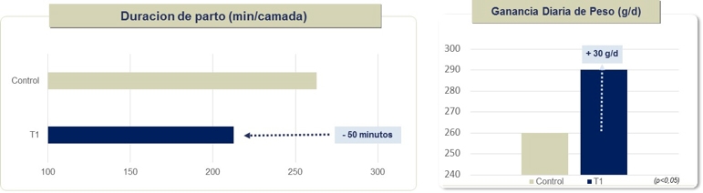 Hipocalcemia subclínica en cerdas: Utilización de pidolato de calcio - Image 6