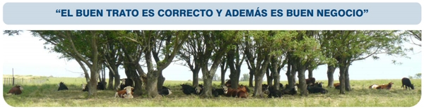 Bienestar animal bovino: Características que se deben considerar para optimizar su manejo - Image 1